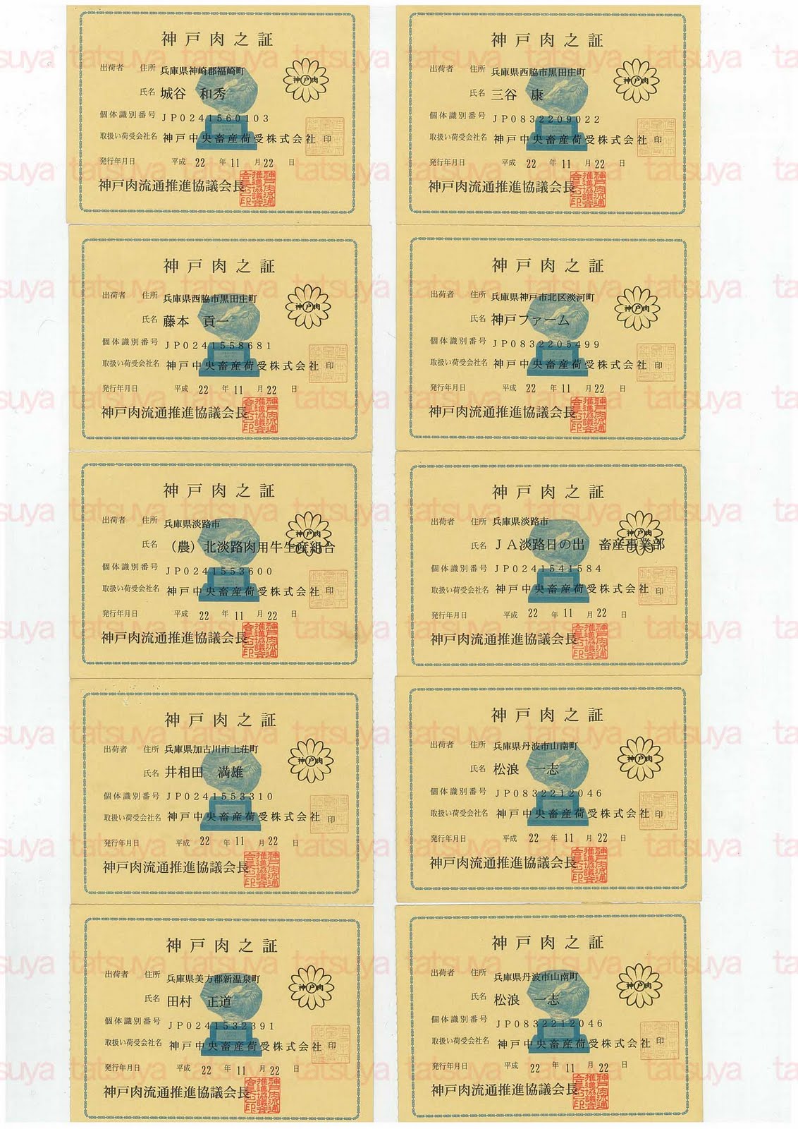 [LOT-10122501-#4.jpg]