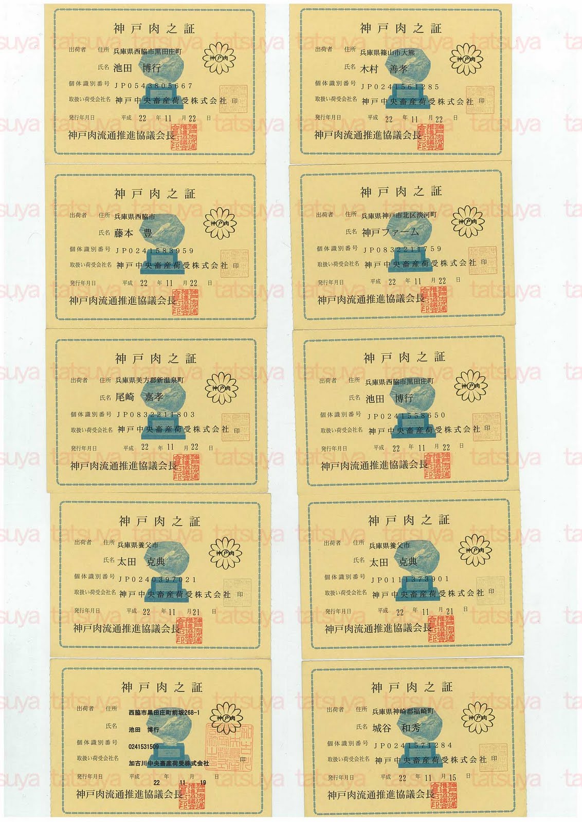 [LOT-10122501-#5.jpg]