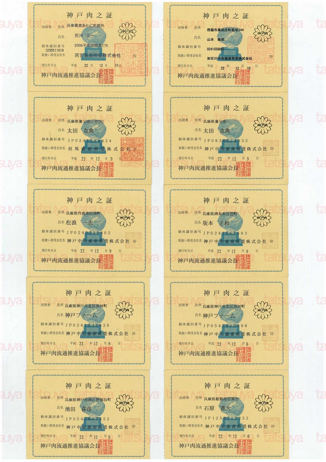 [LOT-10122701-#2.jpg]
