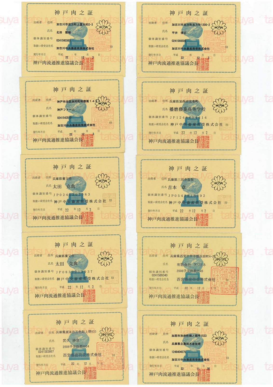[LOT-10122701-#4.jpg]