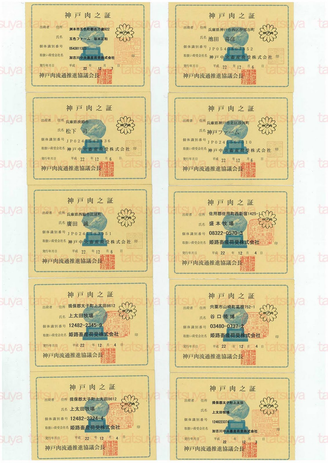 [LOT-10122701-#3.jpg]