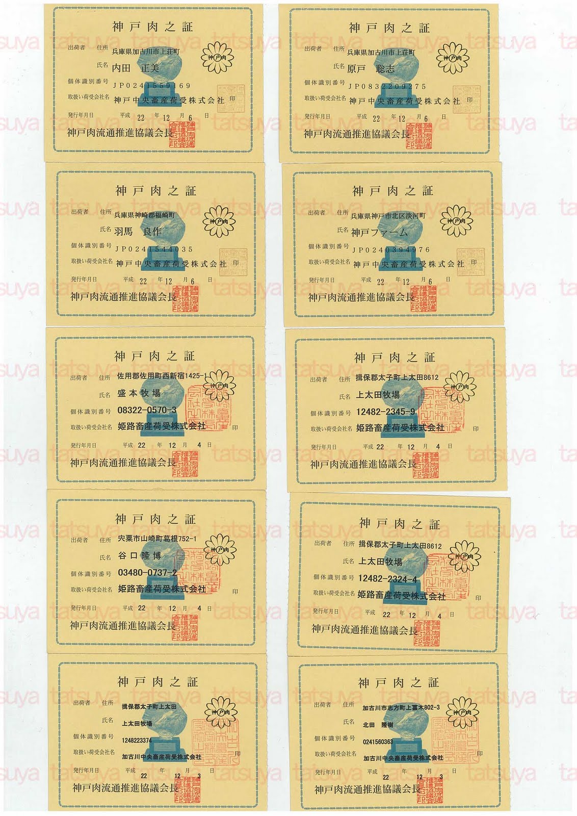 [LOT-10122901-#4.jpg]