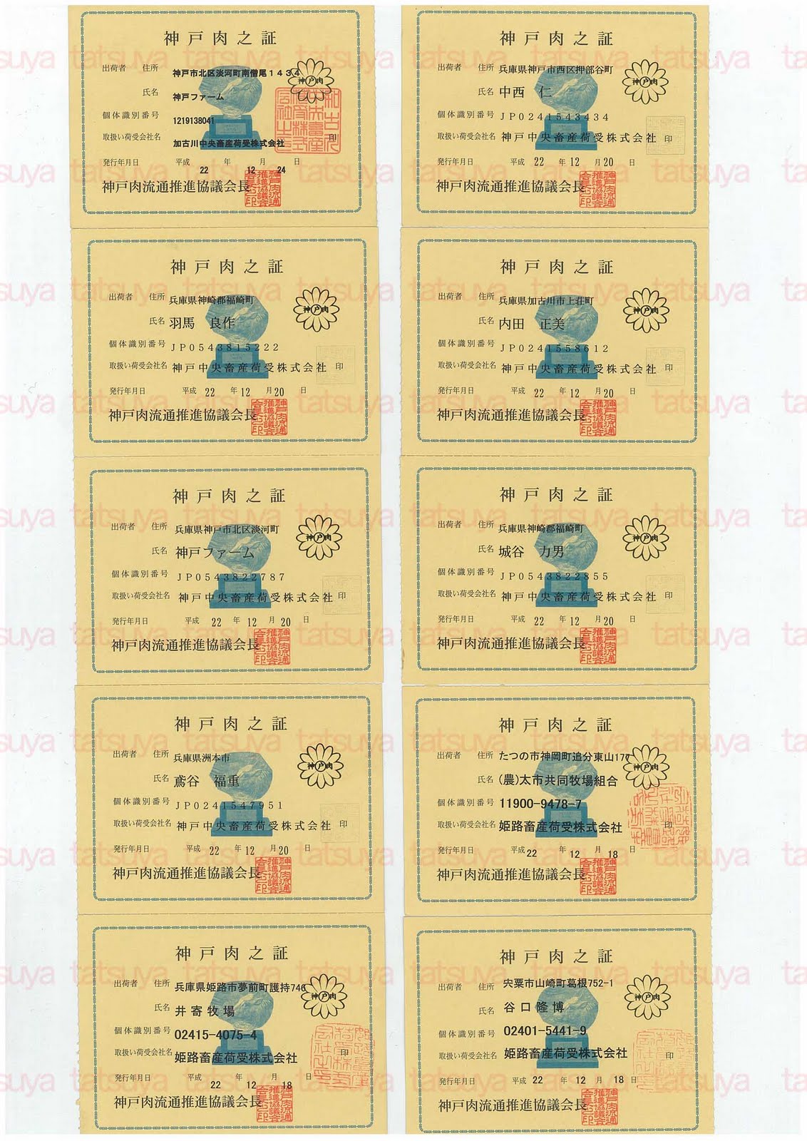 [LOT-11011701-#1.jpg]