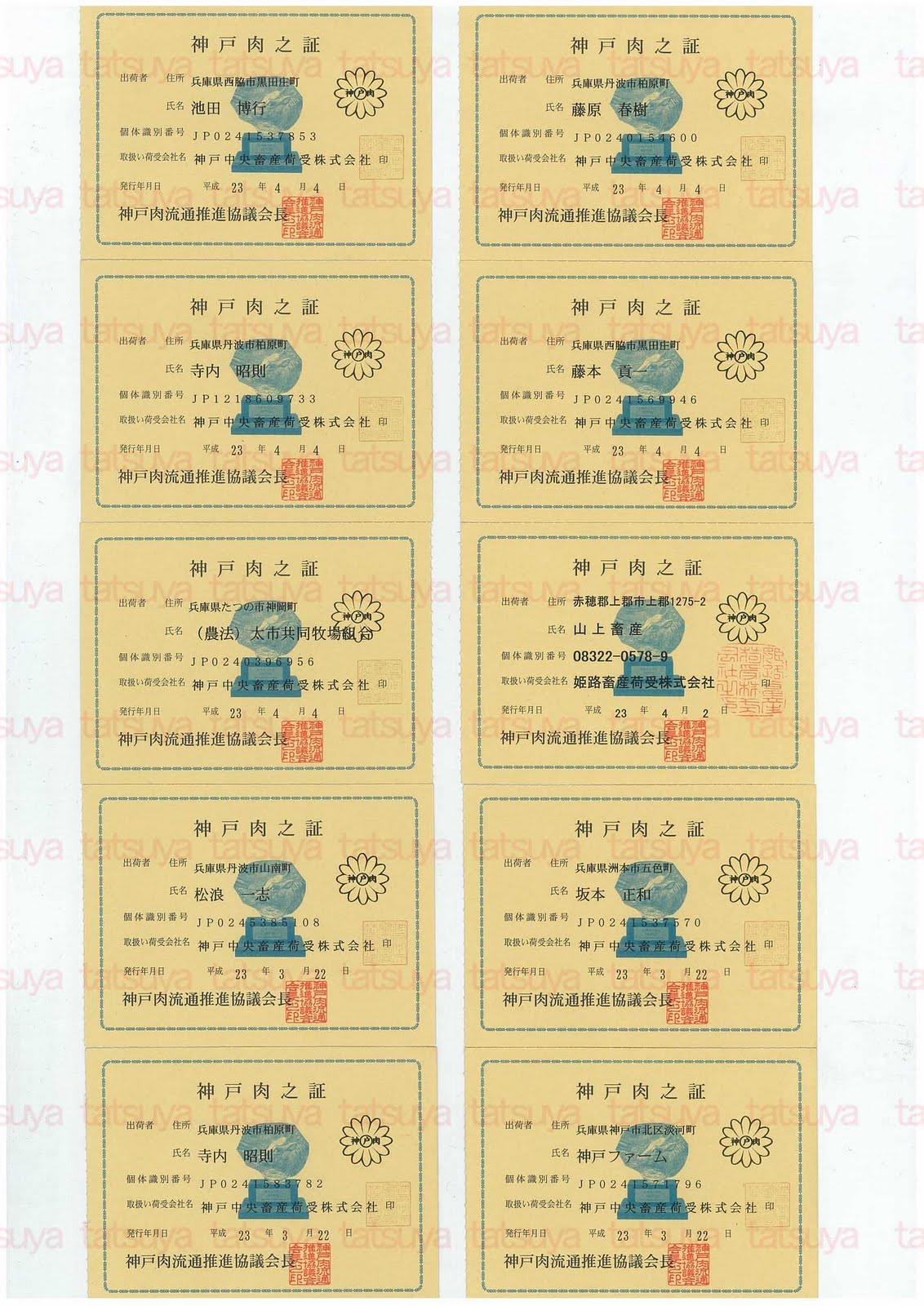 [LOT-11041301-#1.jpg]