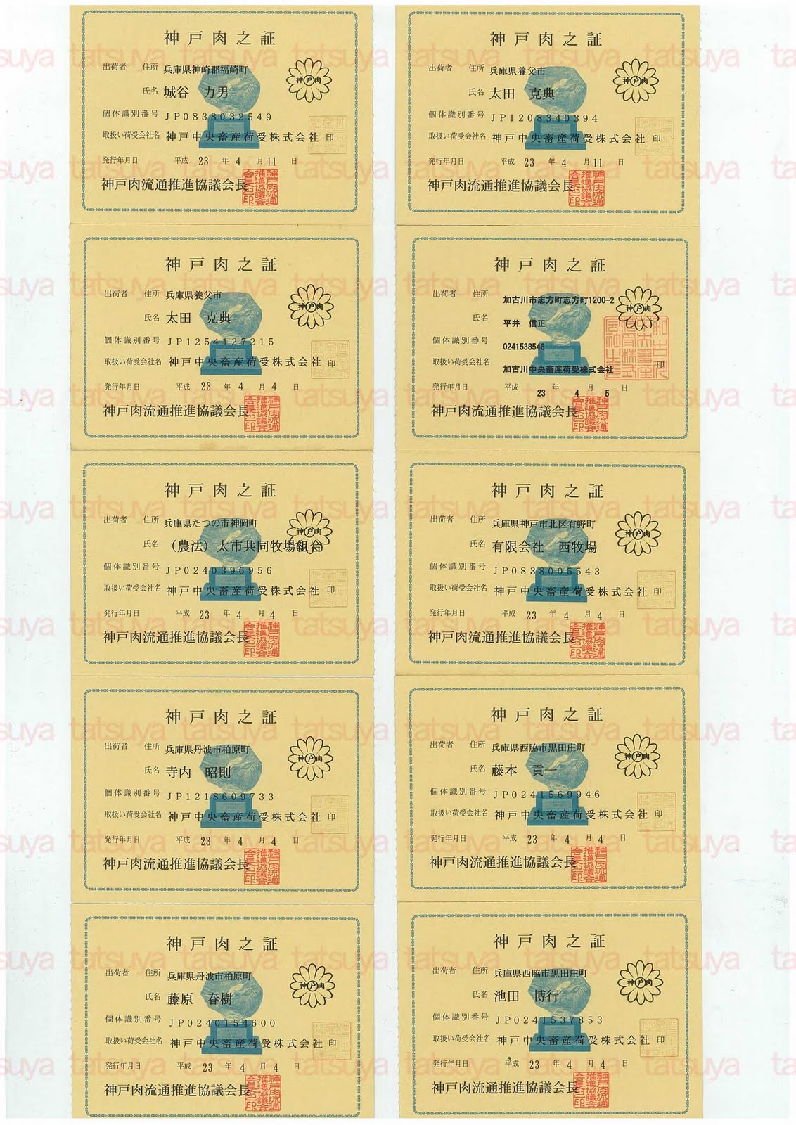 [LOT-11042301-#1.jpg]