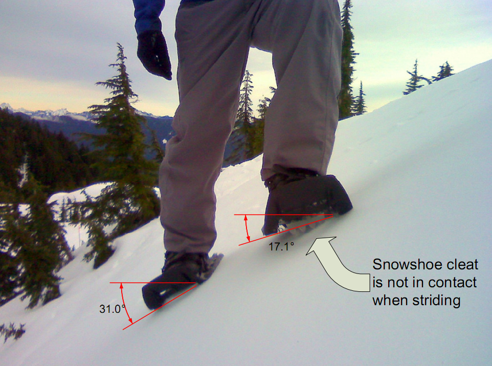 [Walking on Snowshoes[5].png]