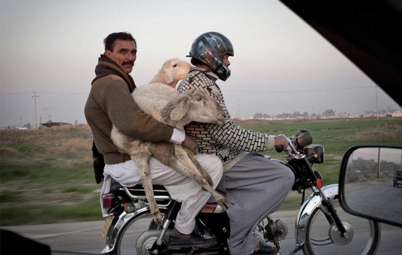View Larger Image. Current:800x507 Available:990x628 Scenes from Pakistan