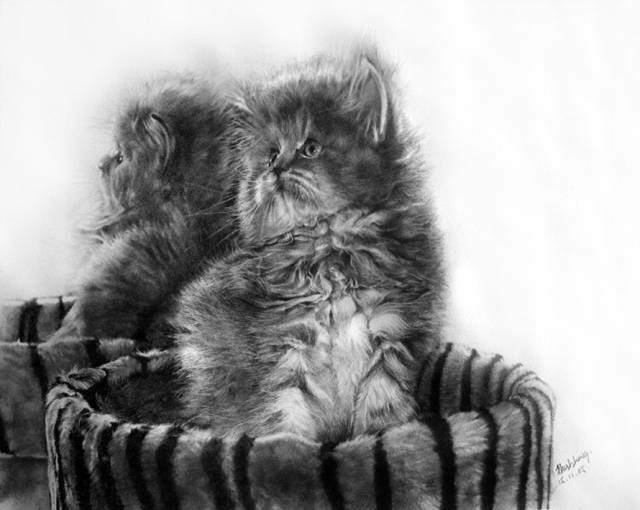 Image Dimension: 640x510 Unbelievable Pencil Drawings by Paul Lung