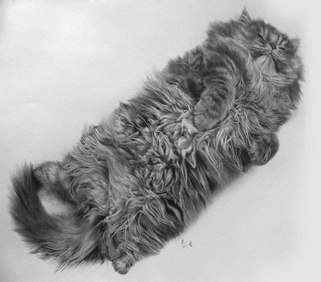 Image Dimension: 640x562 Unbelievable Pencil Drawings by Paul Lung