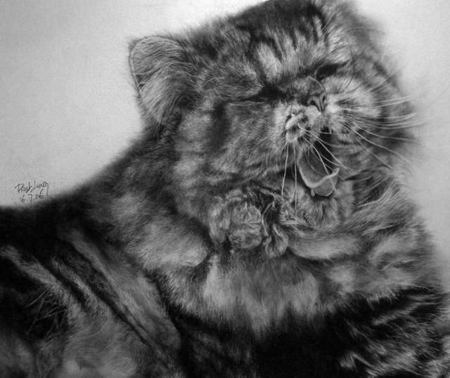 Image Dimension: 640x538 Unbelievable Pencil Drawings by Paul Lung