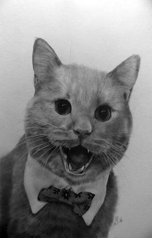 View Larger Image. Current:512x800 Available:640x1000 Unbelievable Pencil Drawings by Paul Lung