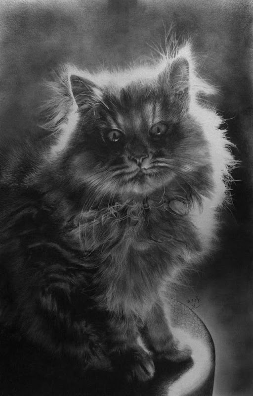 View Larger Image. Current:512x800 Available:640x1000 Unbelievable Pencil Drawings by Paul Lung