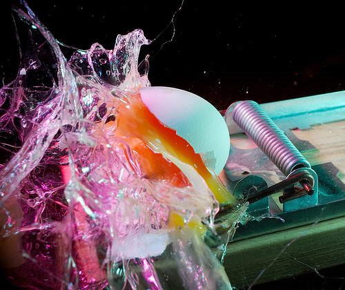 Capture the movement - Beautiful High Speed Photography