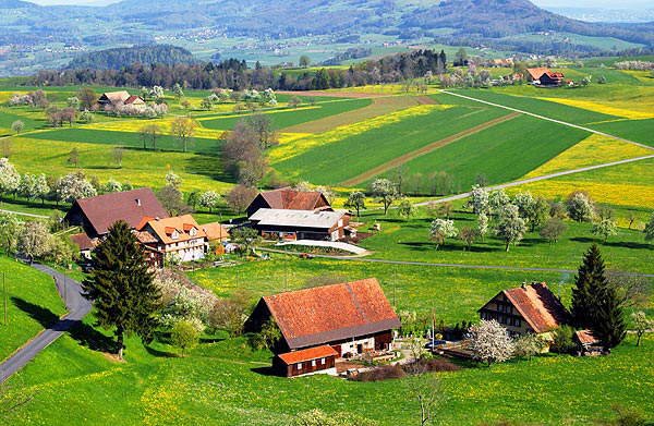 Lovely nature pics to soothe your eyes