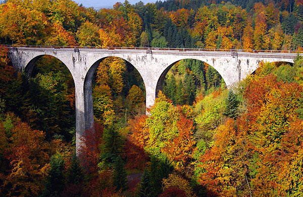 Lovely nature pics to soothe your eyes