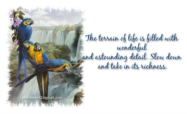 Nice Wordings on Life, Living and Loving