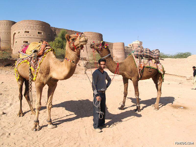 Image Dimension: 800x600 :: Derawar Fort: Large Square Fortress In Pakistan Derawar Fort: Large Square Fortress In Pakistan
