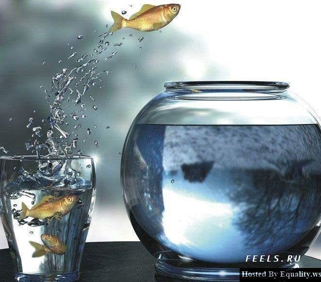 Unusual Photography