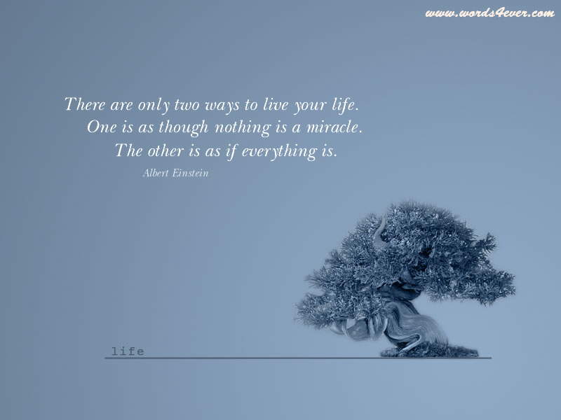 Lovely Sayings from words4ever.com: A hero is no braver than an ordinary man, but he is braver five minutes longer.