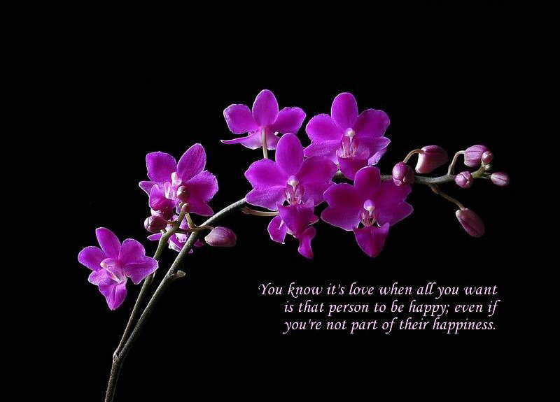 Love (Quotes N Pics): Love is a treasure which we can never pay. The only way to keep it is to give it away!