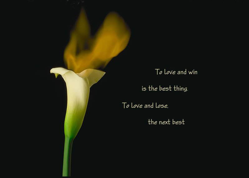 Love (Quotes N Pics): Love is a treasure which we can never pay. The only way to keep it is to give it away!