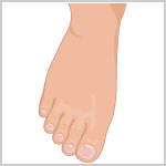 Image Dimension: 150x150 :: Did you know that according to the Chinese, your feet describe your luck. Decipher your Fortune! Did you know that according to the Chinese, your feet describe your luck. Decipher your Fortune!
