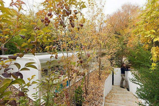Beautiful Office in Madrid Jungle designed by Spanish architecture firm Selgas Cano