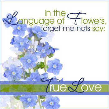 Express your Love...