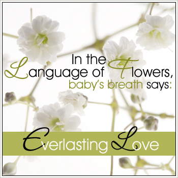 Express your Love...