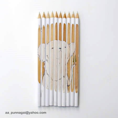 Pencil Art (Attractive)