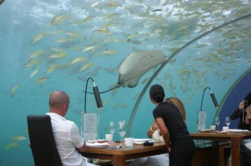 Image Dimension: 500x331 :: FYI : 5 Human Wonders Worth Seeing FYI : 5 Human Wonders Worth Seeing