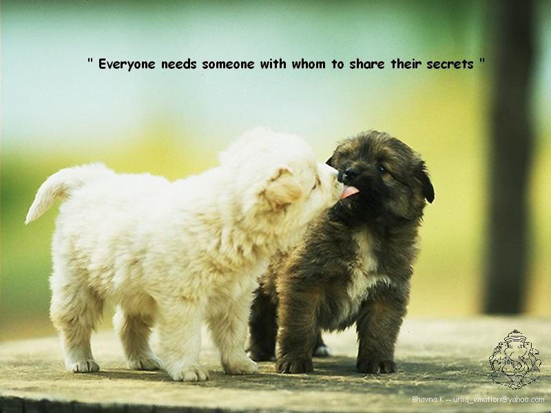 6 Rules of Life