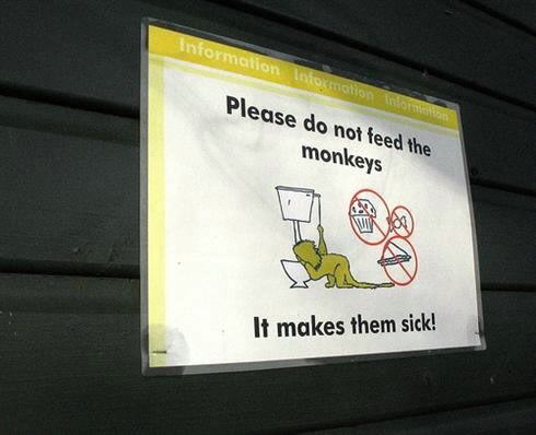 Funny Zoo Signs