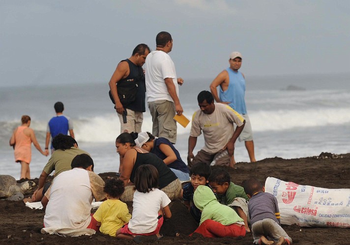 Image Dimension: 712x499 :: Save the Turtles - Habitat destruction photos from Costa Rica Save the Turtles - Habitat destruction photos from Costa Rica