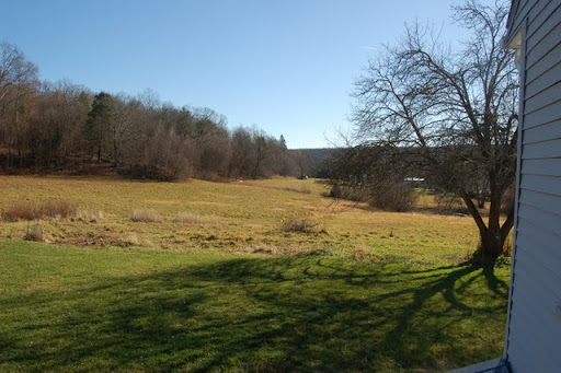 In our new home! - Homesteading Questions