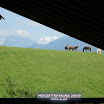 Würze_2010 (2) Kopie.jpg