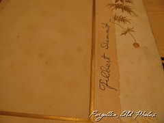 IMG_0757 IMG_0757