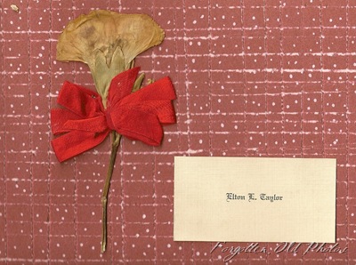 Page 18 and 19 Elton Taylor Card and carnation