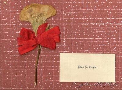 Page 18 and 19 Elton Taylor Card and carnation Page 18 and 19 Elton Taylor Card and carnation