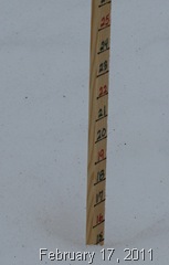 IMG_1362 IMG_1362