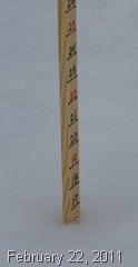 IMG_1449 IMG_1449