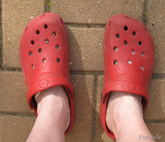 [Old Red crocs[8].jpg]