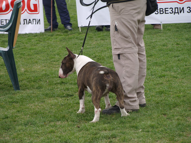 Качена снимка