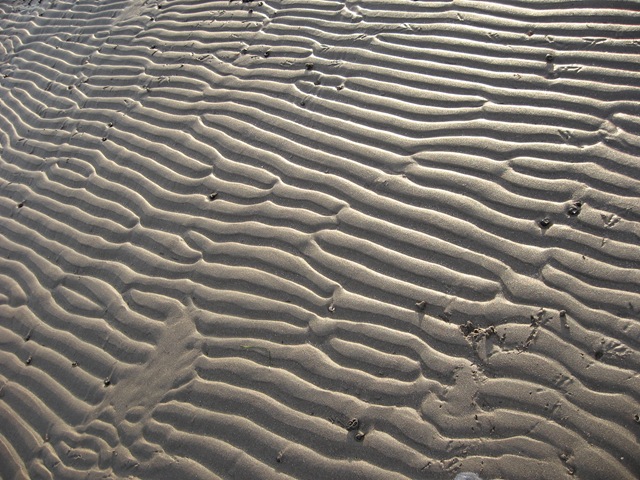 [IMG_35164.jpg]