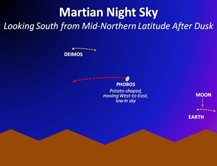 Martian Night Sky