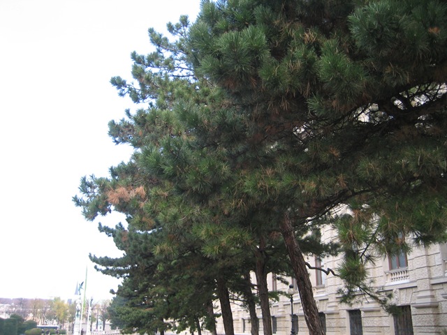 [IMG_72235.jpg]
