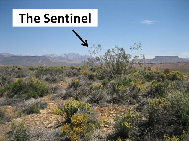 [TheSentinelCaption1.jpg]