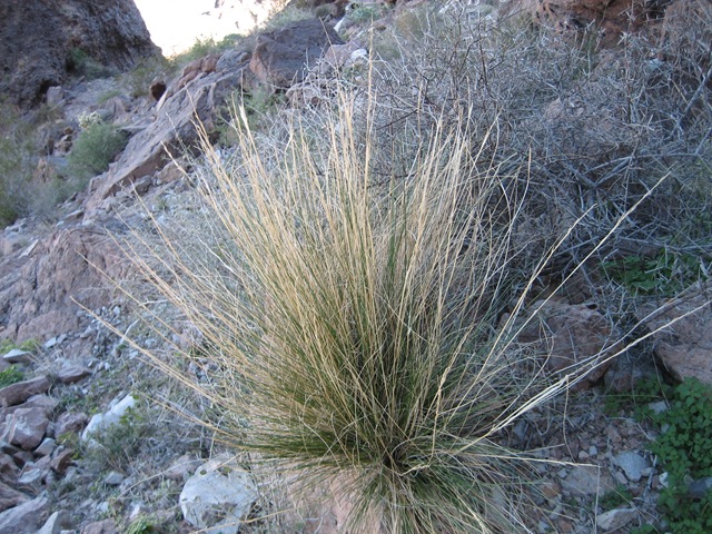 [IMG_80035.jpg]
