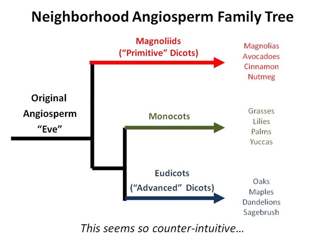 [Hood Family Tree[4].jpg]