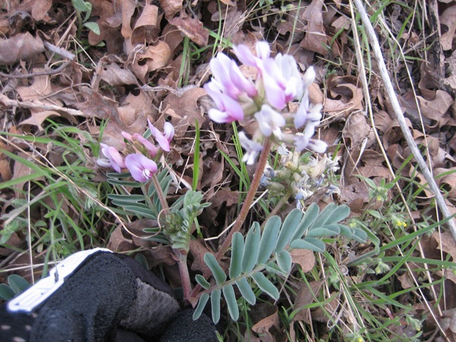 [IMG_92545.jpg]